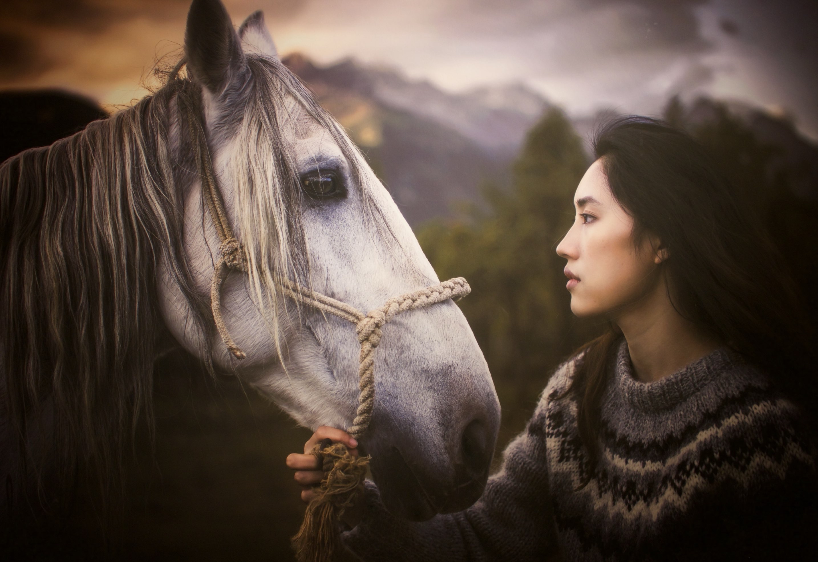 National Geographic "A Century of Charm, Born to Shine" Classic Image Exhibition - Suzhou Station | Huxijie Art Museum