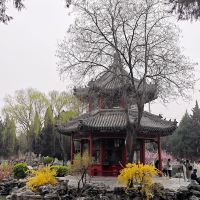 評論圖片 1