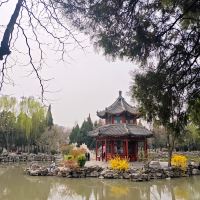 評論圖片 7