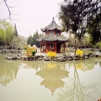 評論圖片 6