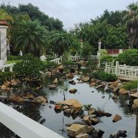 評論圖片 6