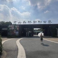 評論圖片 9