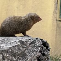 評論圖片 2