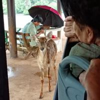 評論圖片 4