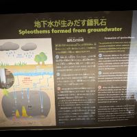 評論圖片 7