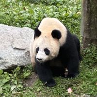 評論圖片 5