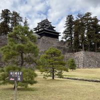 評論圖片 7