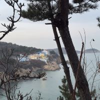 評論圖片 4