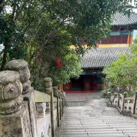 評論圖片 2