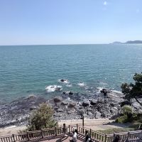 評論圖片 5