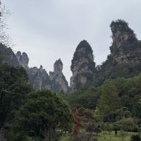 評論圖片 3