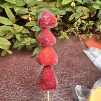 評論圖片 8