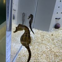 評論圖片 9