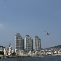 評論圖片 6