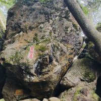 評論圖片 3