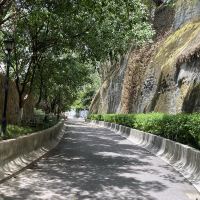評論圖片 1