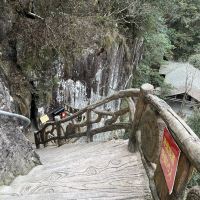 評論圖片 3