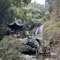評論圖片 8