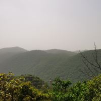 評論圖片 6