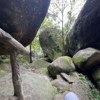 評論圖片 5