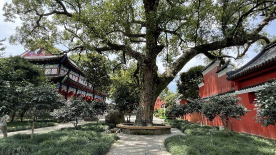 天师府是一座王府式的道教古建筑群，依山傍水，规模宏大，气势非