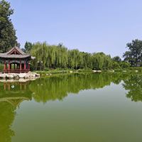 評論圖片 9