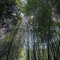 評論圖片 1
