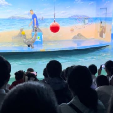 評論圖片 1