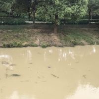 評論圖片 3