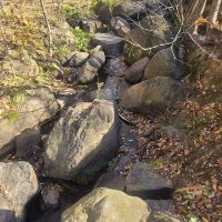 評論圖片 1