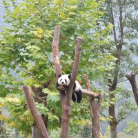 評論圖片 2