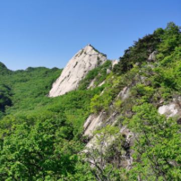 評論圖片 4