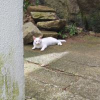 評論圖片 8