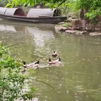 評論圖片 1