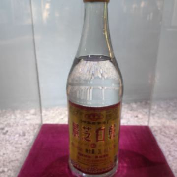 評論圖片 8
