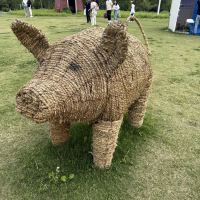 評論圖片 7