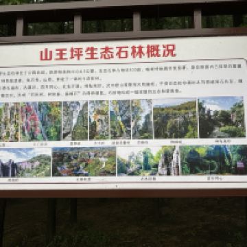 評論圖片 1