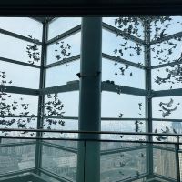 評論圖片 3