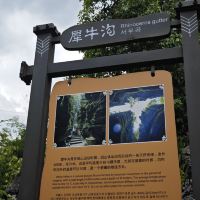 評論圖片 4