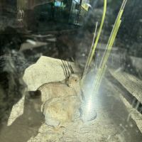 評論圖片 3