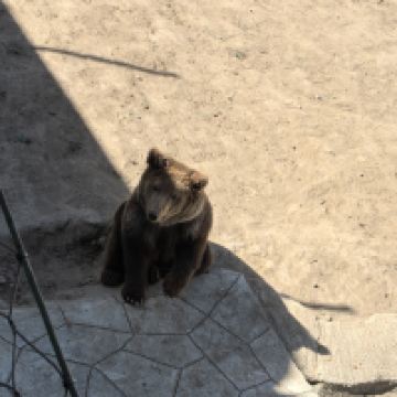 評論圖片 7