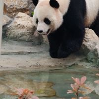 評論圖片 4