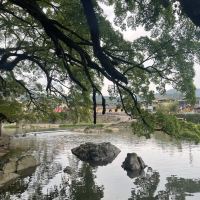 評論圖片 8