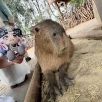 評論圖片 2