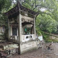 評論圖片 2