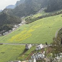 評論圖片 3