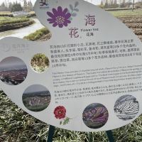 評論圖片 3
