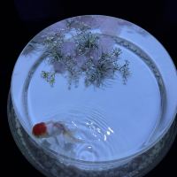 評論圖片 3