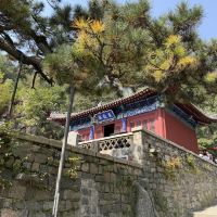 評論圖片 4