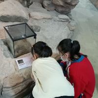 評論圖片 8